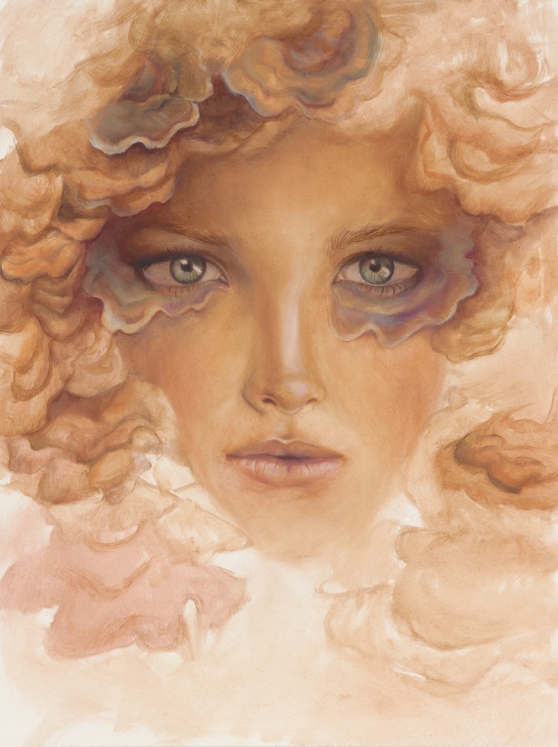 Heilpilze im Spiegel des Menschen – Vernissage am 25.10.2025