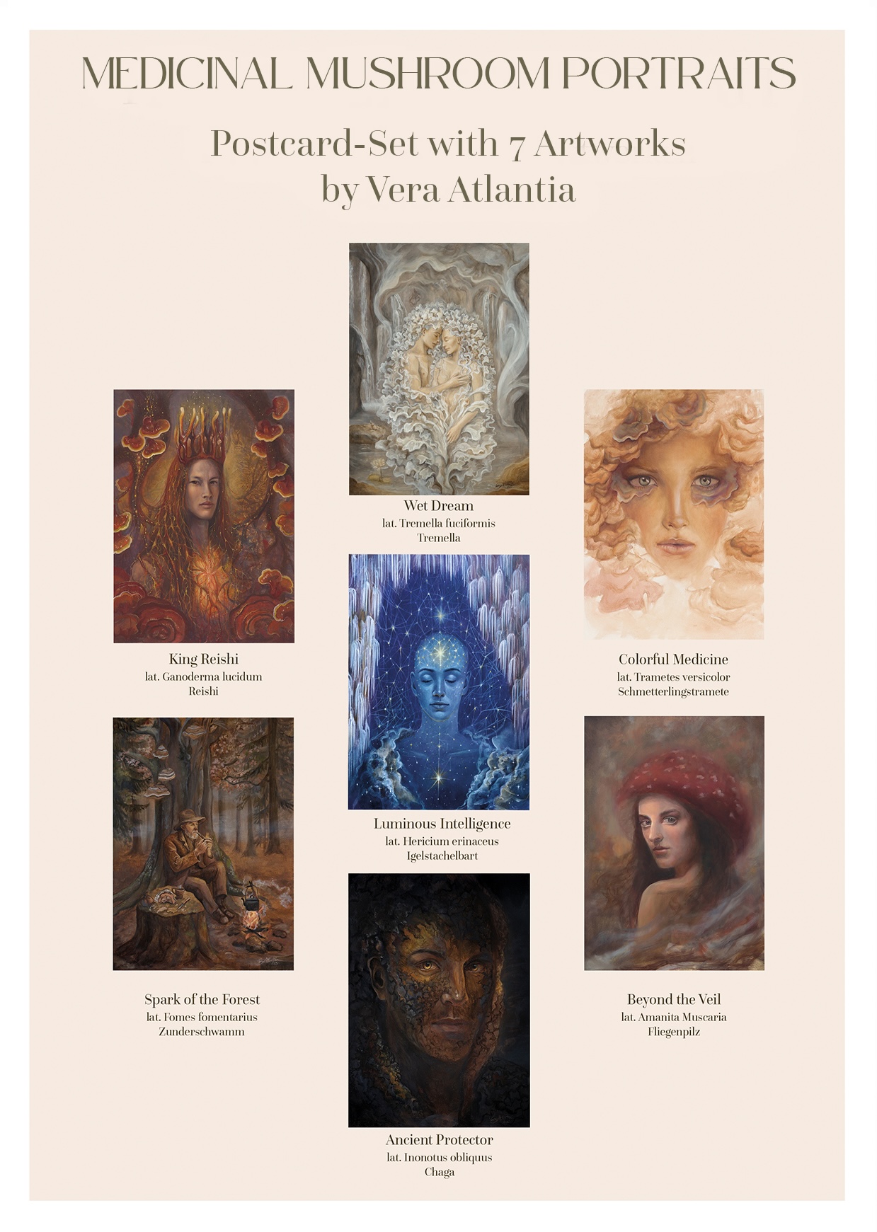 Postcard Set Mushrooms